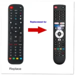 Google CG55-C1 Remote Control