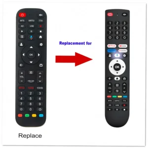 Google CG55-C1 Remote Control