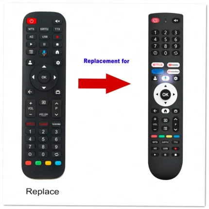 Google CG55-C1 Remote Control