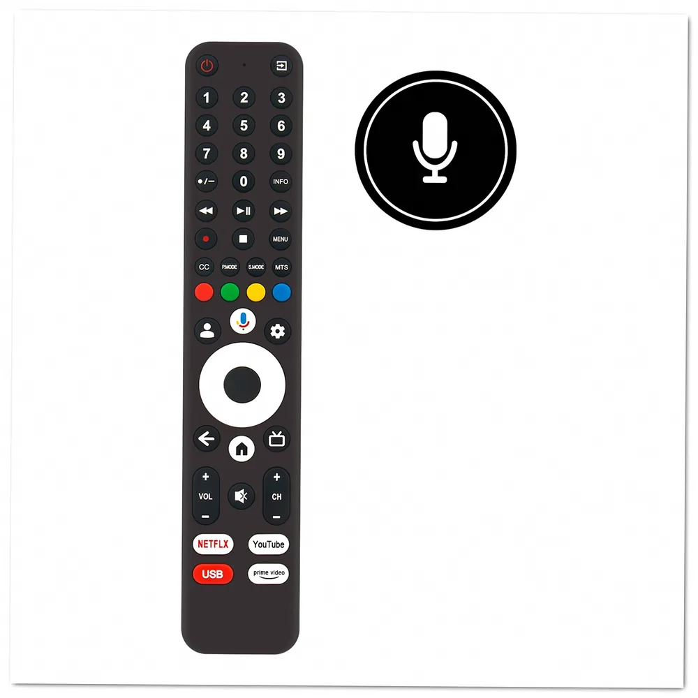 Google TSG24 Remote Control - Image 2