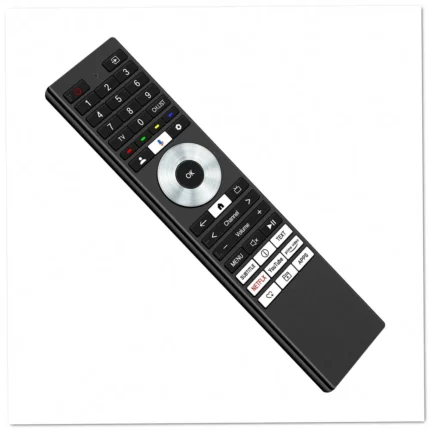 Hisense ERF3A98 Remote Control