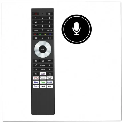 Hisense ERF3P98 Remote Control