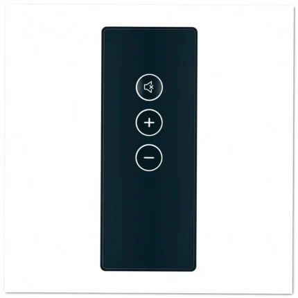 RC10 RC10 Remote Control