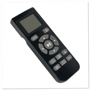 Replace RB20H Remote Control