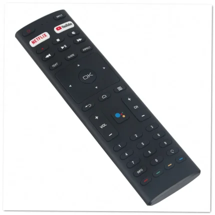 Voice RM-C3329 Remote Control