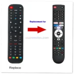 Google CG43-P3 Remote Control