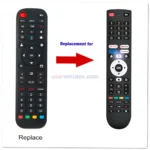 Google CG55-C1 Remote Control